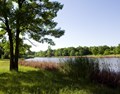 Greenbelt Forest Preserve