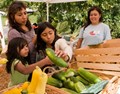 Green Youth Farm