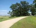 Millennium Trail & Greenway