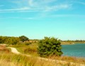 Van Patten Woods