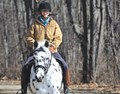 Horseback Riding