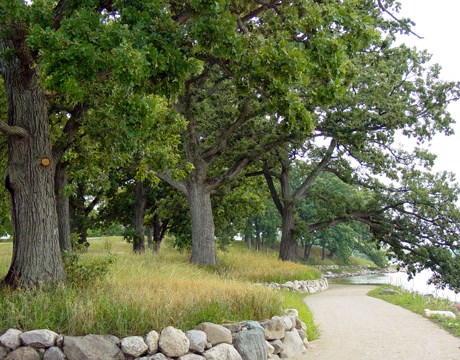 Fox River Forest Preserve Weather