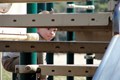 Young boy climbing on a playground set.