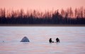 bigstock-Winter-Fishing-2606652