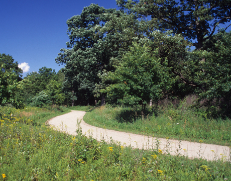 Winding walking trail that runs through the woods