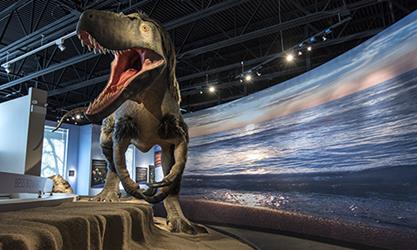 Dryptosaurus in Dunn Museum