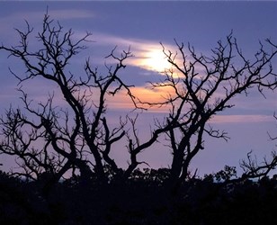 Winter_Sky_Credit_Jeff_Goldberg