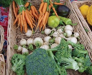 Green Youth Farm at Greenbelt