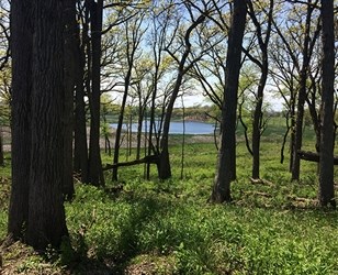 Discovering Wauconda IL USA: A Vibrant Village in Illinois