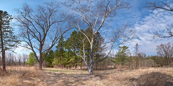 DUGA-Spring2026-©ThomasGWilson-14