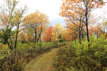 GREENBELT