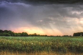 SRD_20120714_IMG_4923_HDR-©Steven_Diver-CMYK