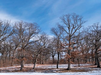 s_LAKE-Winter2025-©ThomasGWilson_(10)