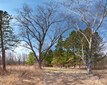 DUGA-Spring2026-©ThomasGWilson-14