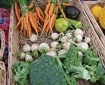 Green Youth Farm at Greenbelt