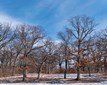 s_LAKE-Winter2025-©ThomasGWilson_(10)