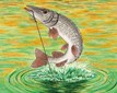 1_FishingGuide-2023-Reprint-Cover
