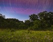 Fireflies-ERCA-Summer2025-©RScottMcNeill-47-Edited-RGB