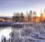 Half Day sunrise over a morning frost-BobCallebert