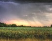 SRD_20120714_IMG_4923_HDR-©Steven_Diver-CMYK