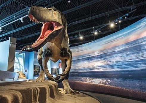 Image of Dunn Museum Dinosaur