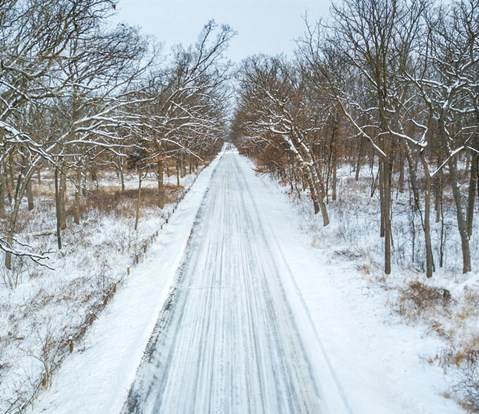 Jeff Goldberg Winter Photo