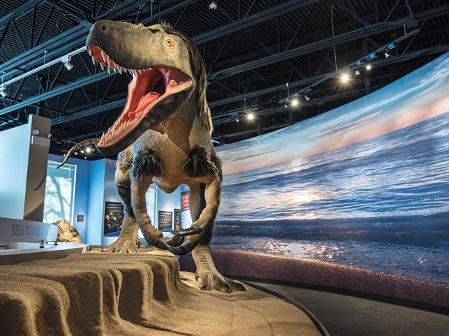 Image of Dunn Museum Dinosaur
