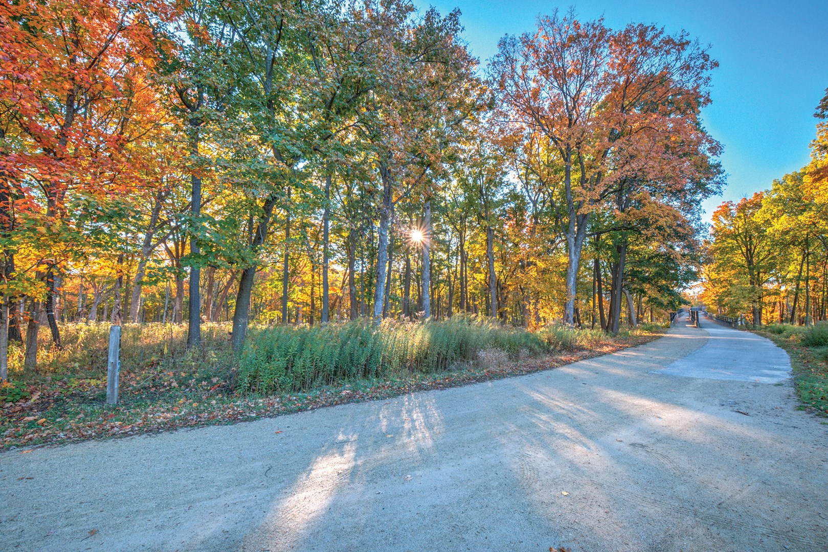 Fall colored trees line the edge of a gravel trail.