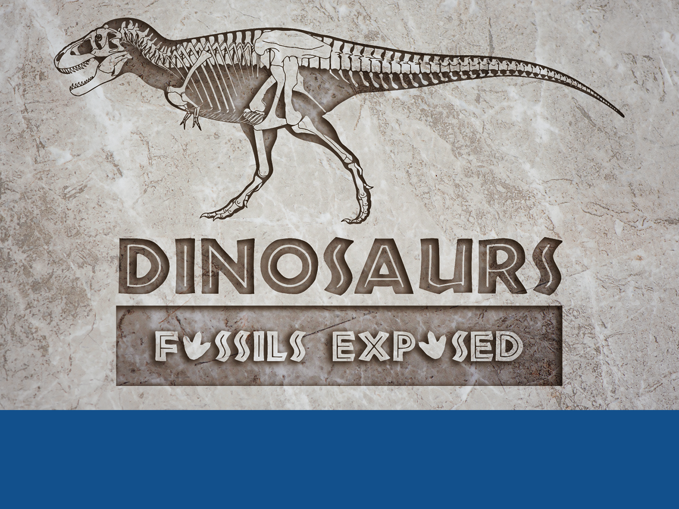 Dinosaurs_Fossils_Exposed3
