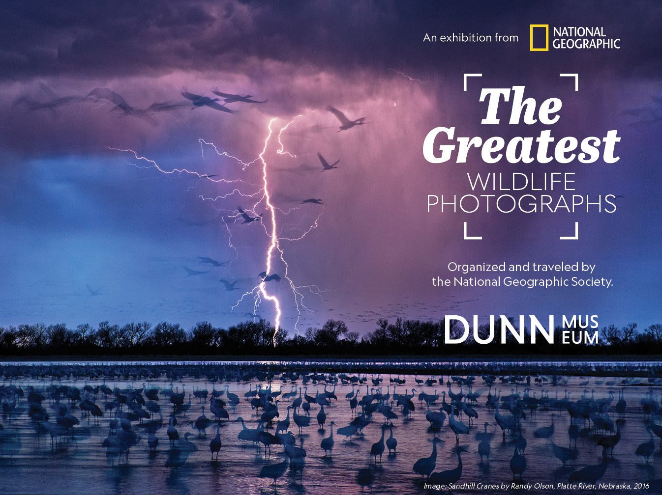 National_Geographic-_The_Greatest_Wildlife_Photographs-Website_Graphics-2025-2