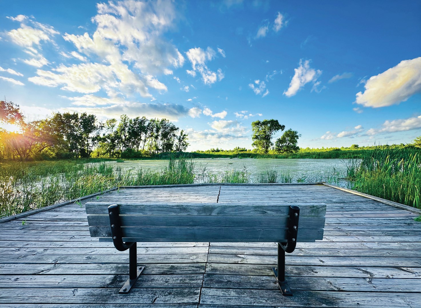 Bench on a wooden pier overlooking a lake.
