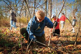 Student cutting Buckthorn branches in the forest preserve