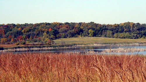 Almond-Marsh