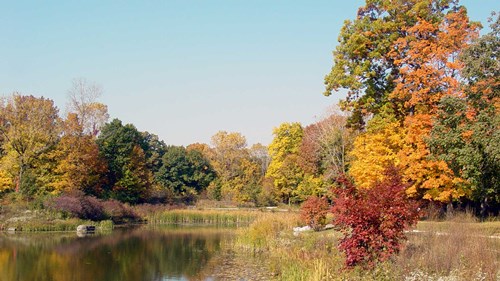 Pond with reflections of the tress covered in fall colors or red, orange and green