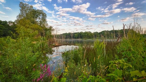 Middlefork-Savanna--Photo-Credit-Jeff-Goldberg