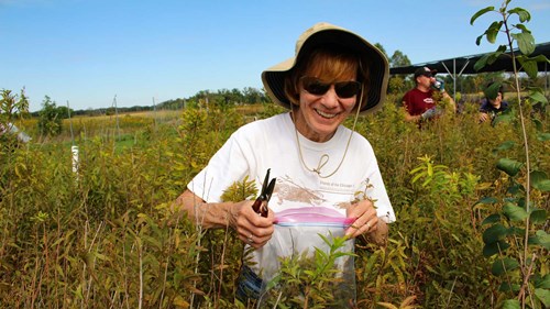 Native Seed Nursery