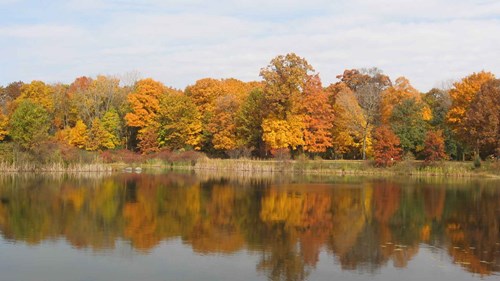 Fort Hill Trail