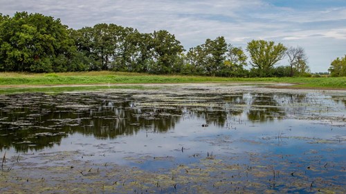 ray-lake