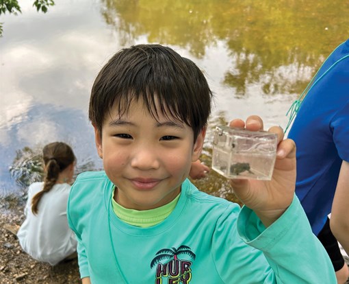 Young child holding up a container small frog inside.