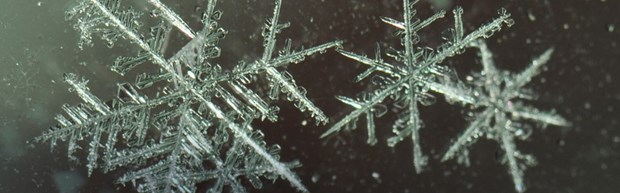 HP-Snowflake