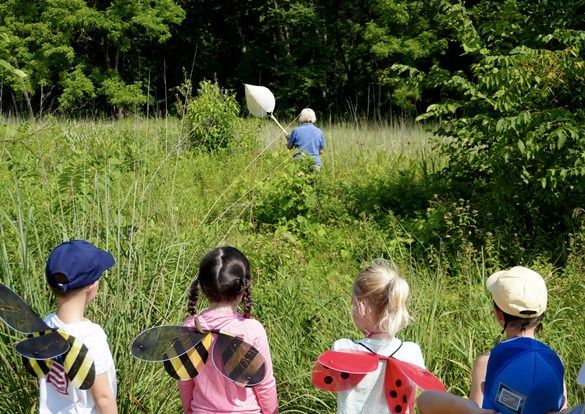Young Nature Explorers learning how to catch bug with nets.