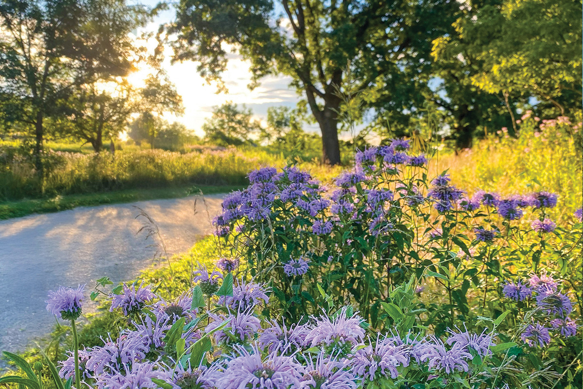 FoxRiver-©Kendall_Donahue-V2-RGB-Cropped