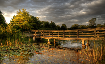 5 BEST SITES FOR CAMPING IN LAKE COUNTY 2_2023 GRWO MAIN