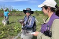 Staff member holding a Blanding's turtle which was located in a wetland.