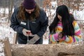 Instructor teaching a child how to tap a maple tree for syrup.