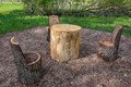 Chairs and table carved out of tree stumps.