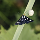 Screenshot_2026-04-24_at_11.56.00 AM