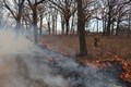 BURN-INGR-20220412-34
