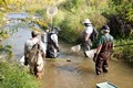 FISH-ETWO-20200921-65