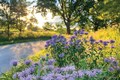 FoxRiver-©Kendall_Donahue-V2-RGB-Cropped